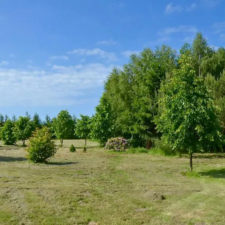 Apartment Field